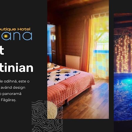 Ohana Boutique Hotel Vistea de Sus Extérieur photo