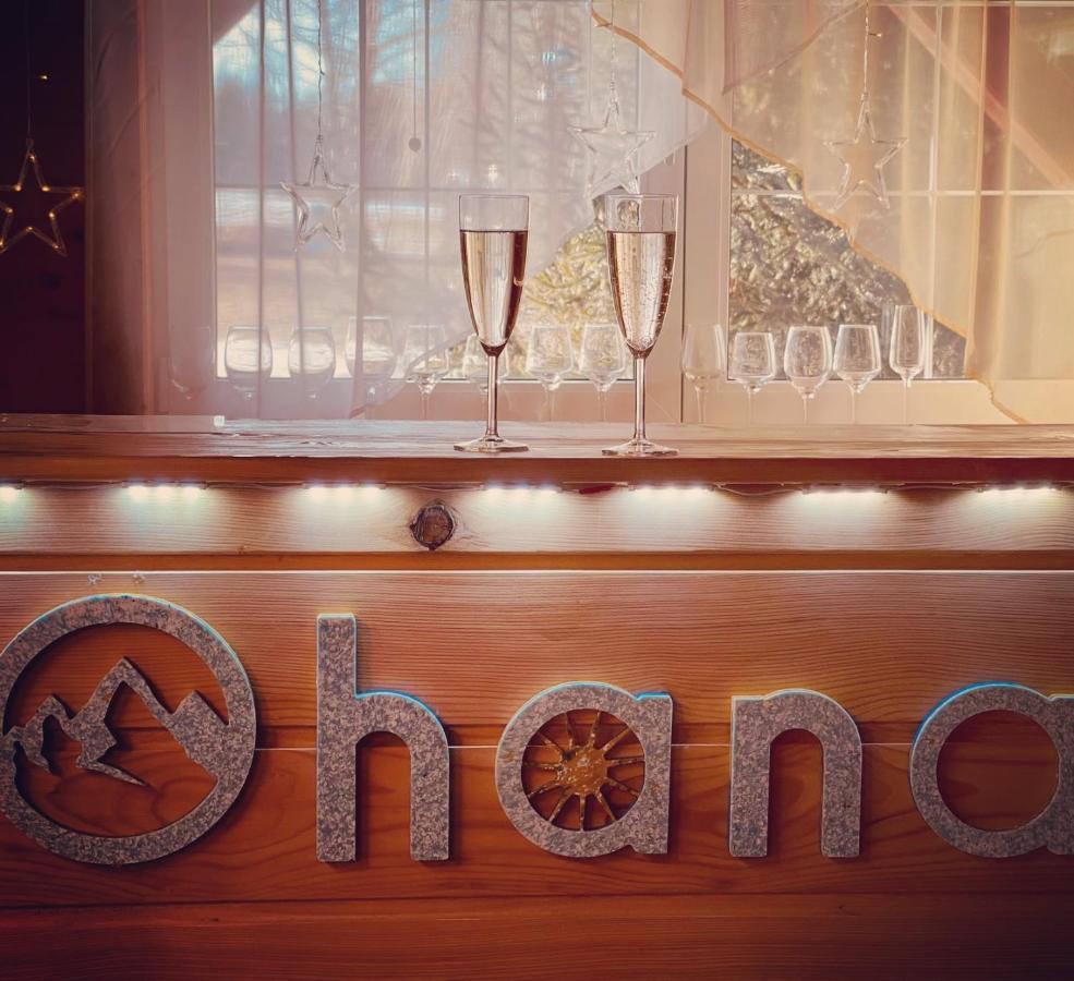 Ohana Boutique Hotel Vistea de Sus Extérieur photo