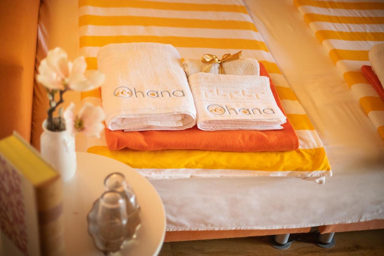 Ohana Boutique Hotel Vistea de Sus Extérieur photo